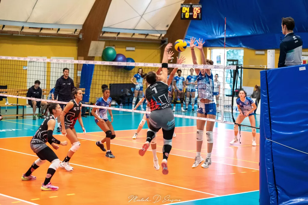 dsc_0910.webp