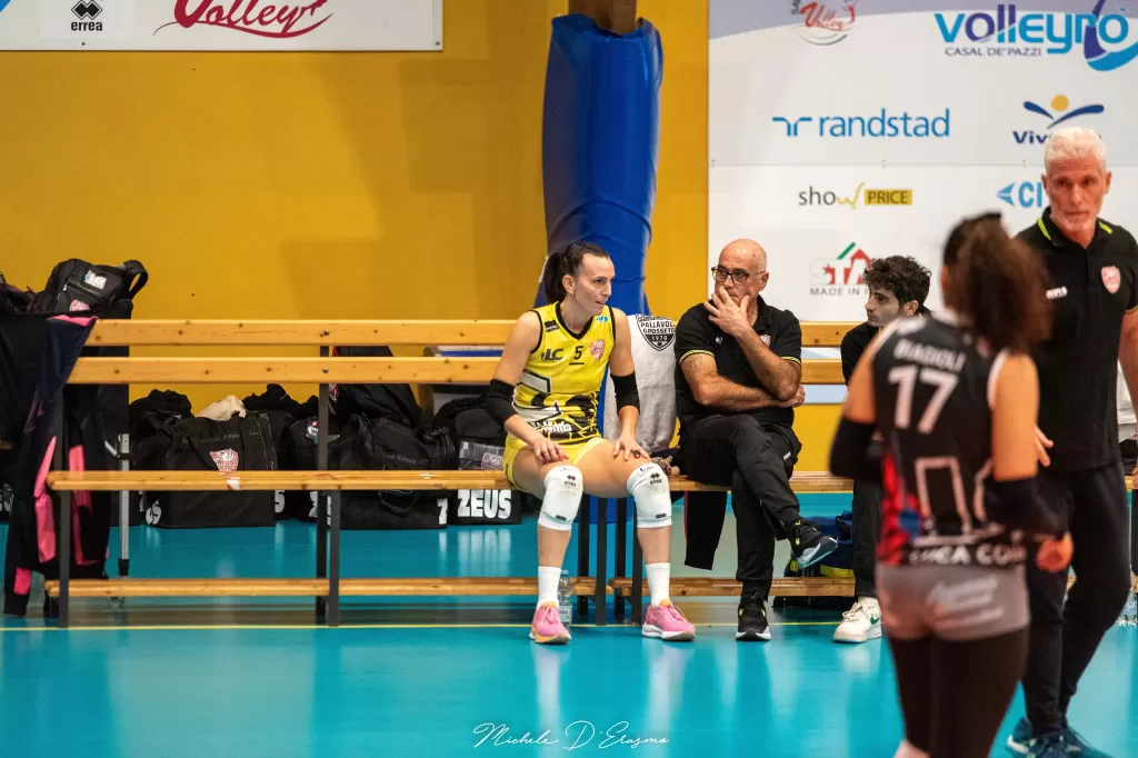 dsc_0911.webp