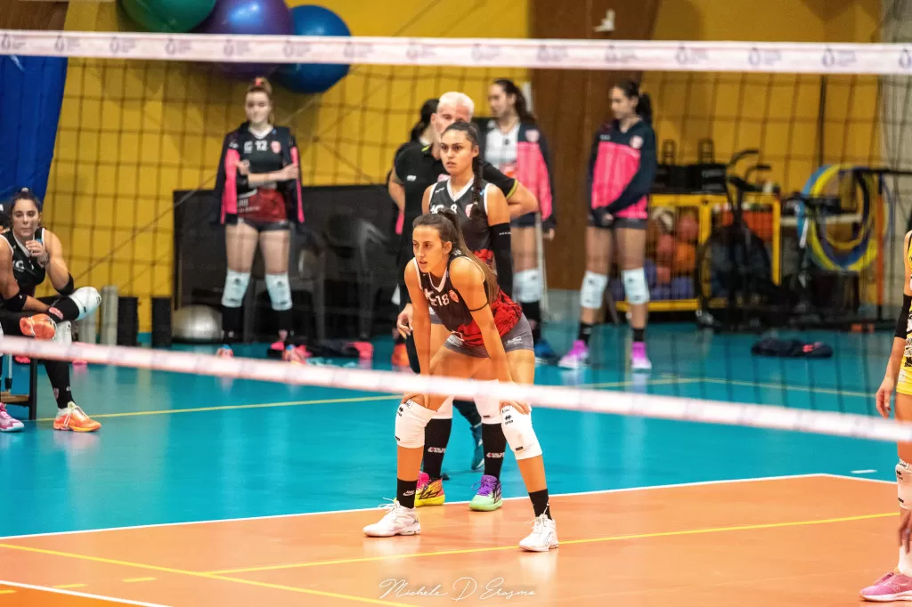 dsc_0933.webp