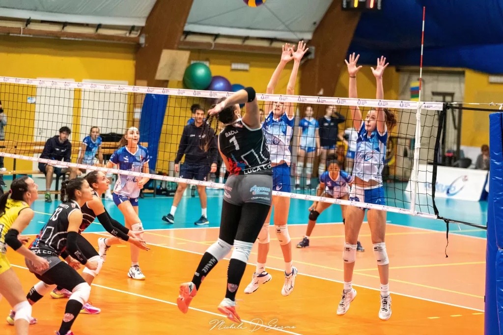 dsc_0947.webp