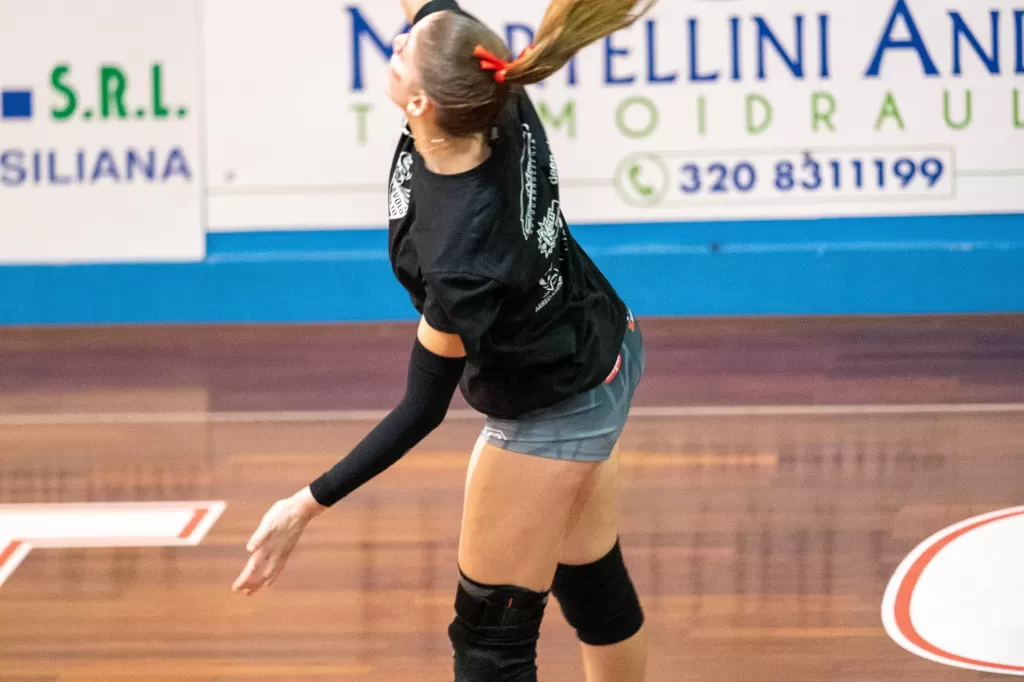 dsc_2259.webp