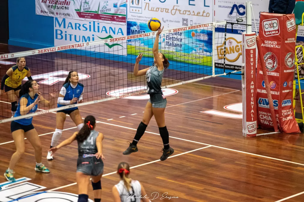 dsc_2355.webp
