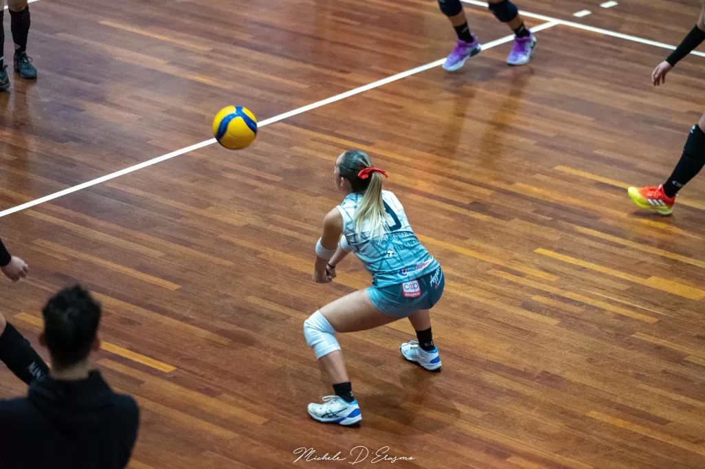 dsc_2368.webp