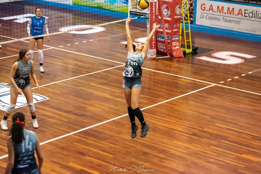 dsc_2387.webp