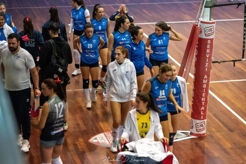dsc_2408.webp