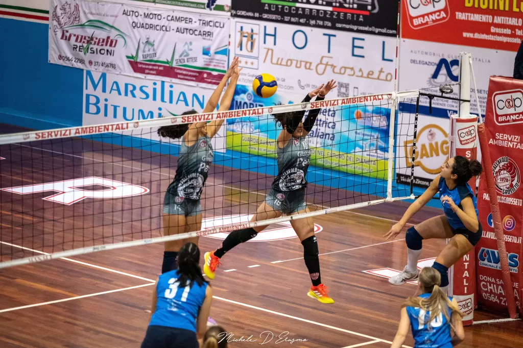 dsc_2450.webp
