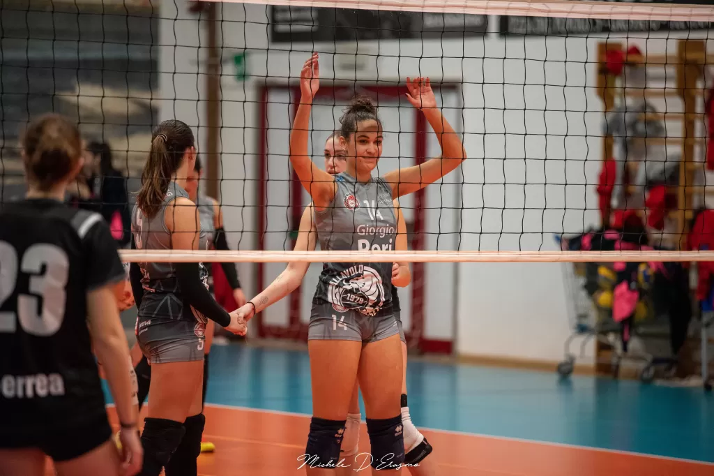 dsc_3337.webp