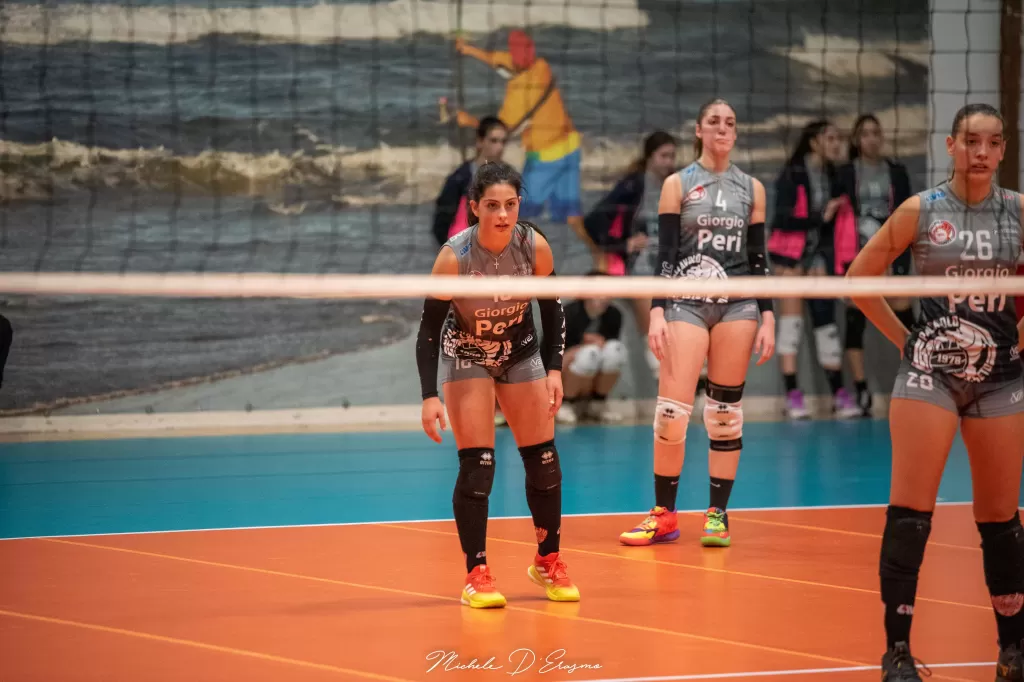 dsc_3341.webp