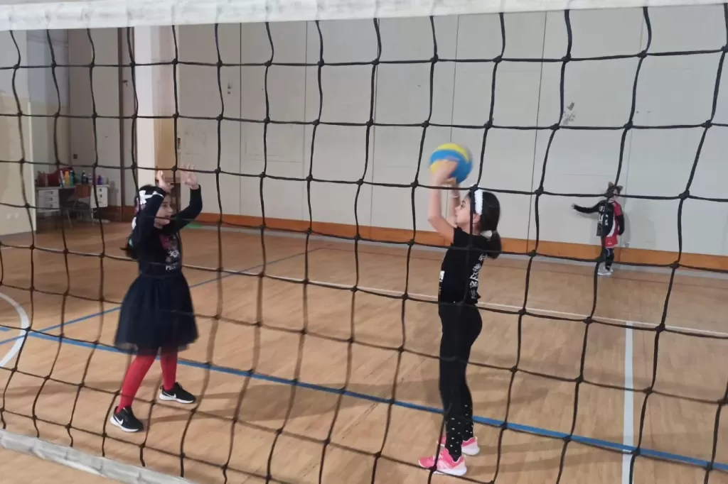 6654.webp