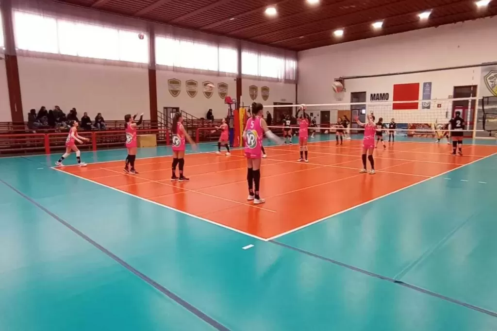 immagine-whatsapp-2024-03-09-ore-180025_788ff7e7.webp
