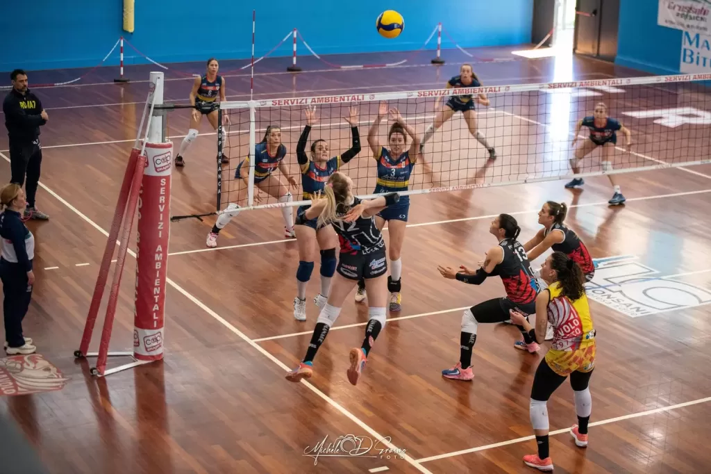 dsc_4275-2.webp