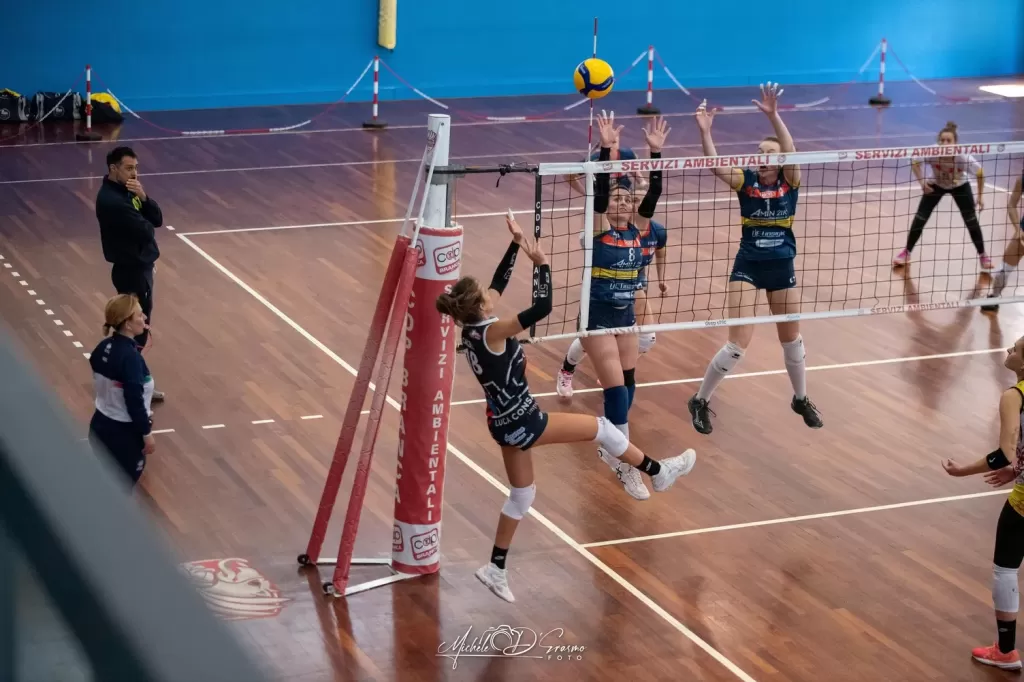 dsc_4442-2.webp