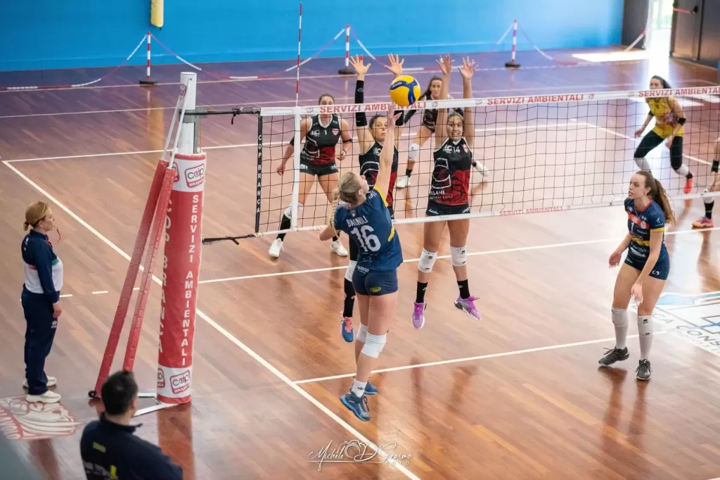 dsc_4547-2.webp