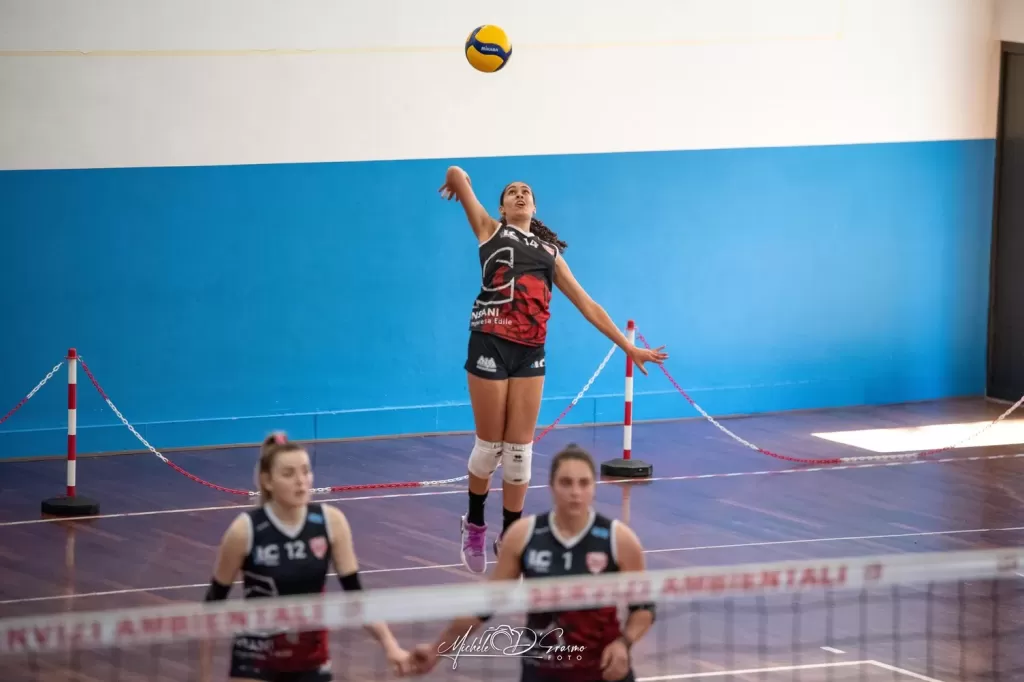 dsc_4602-2.webp