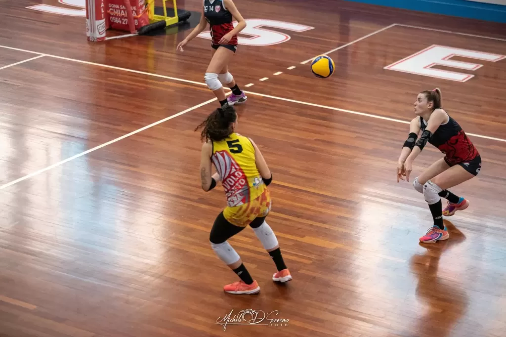 dsc_4908-2.webp