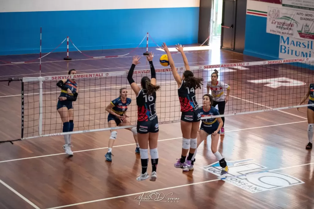 dsc_4910-2.webp
