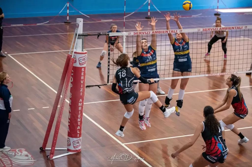dsc_5087-2.webp