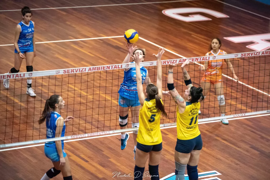 dsc_9848-1.webp