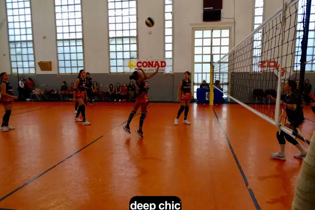 5412.webp
