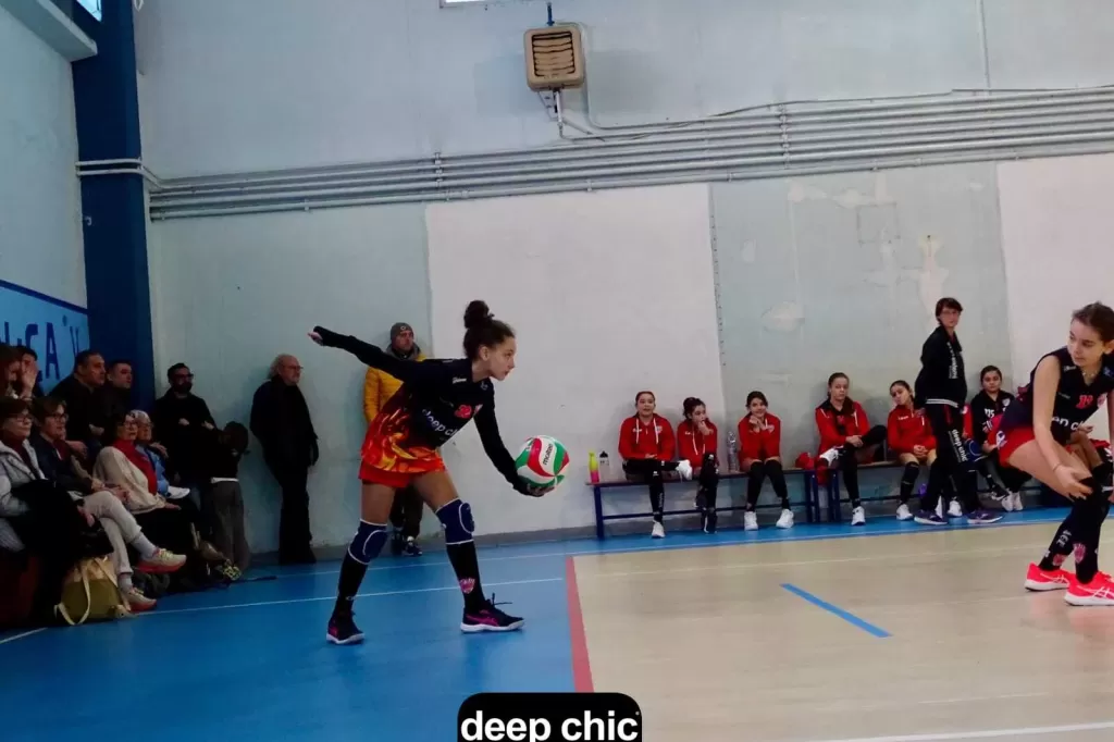 7412.webp