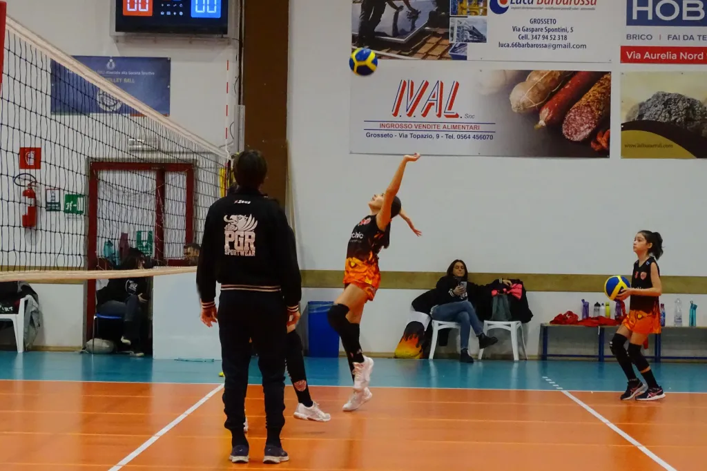 11144.webp