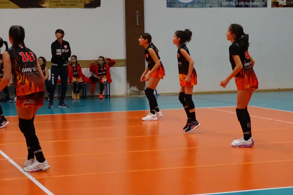 2225.webp