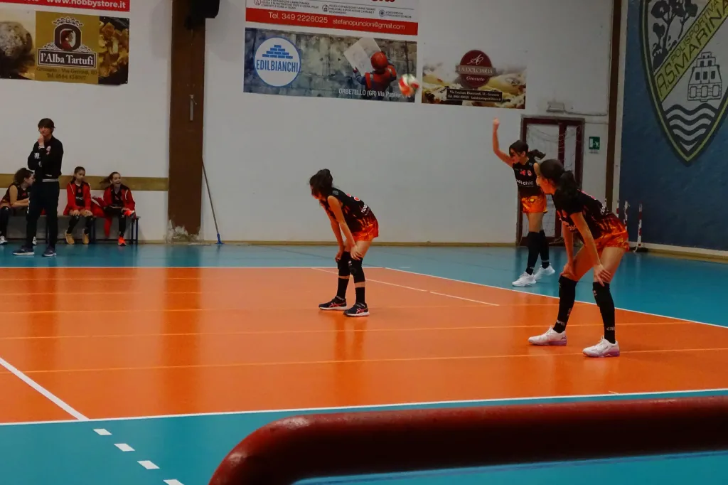 7896.webp