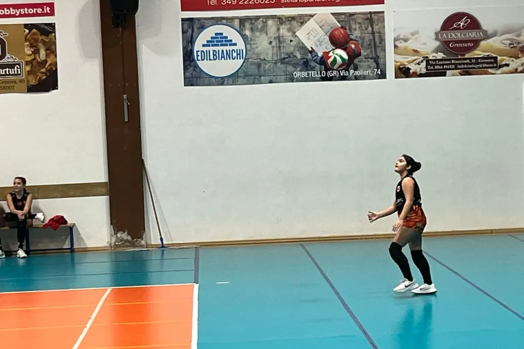8896.webp