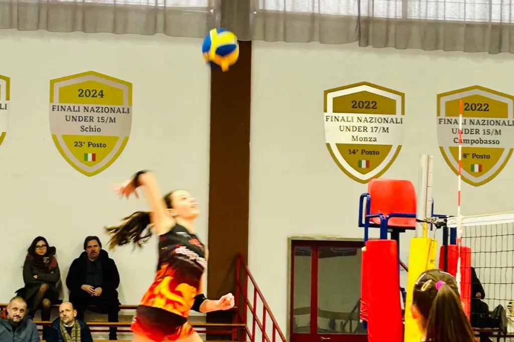 8856.webp