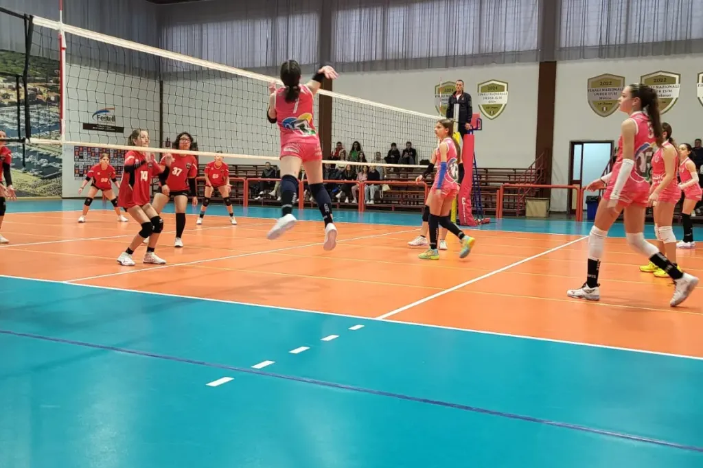 490581696_1221742609951380_8408479963538179312_n.webp