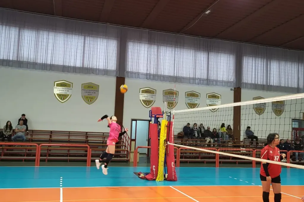 490886137_1221742599951381_7756516091592463947_n.webp