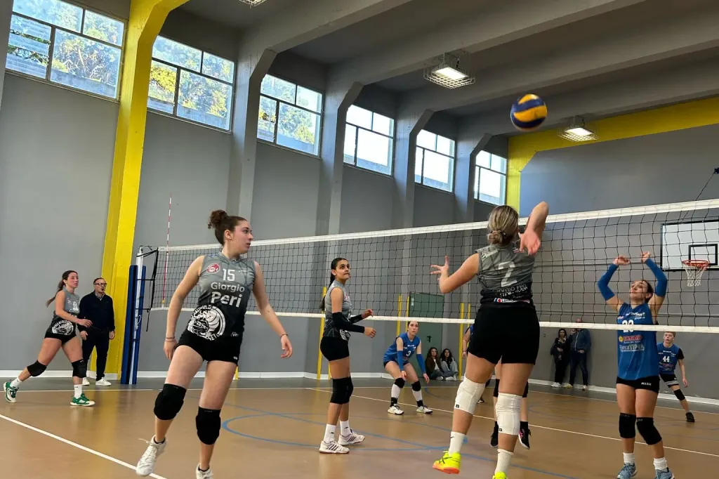 491631166_1227554629370178_1732054113518582234_n.webp