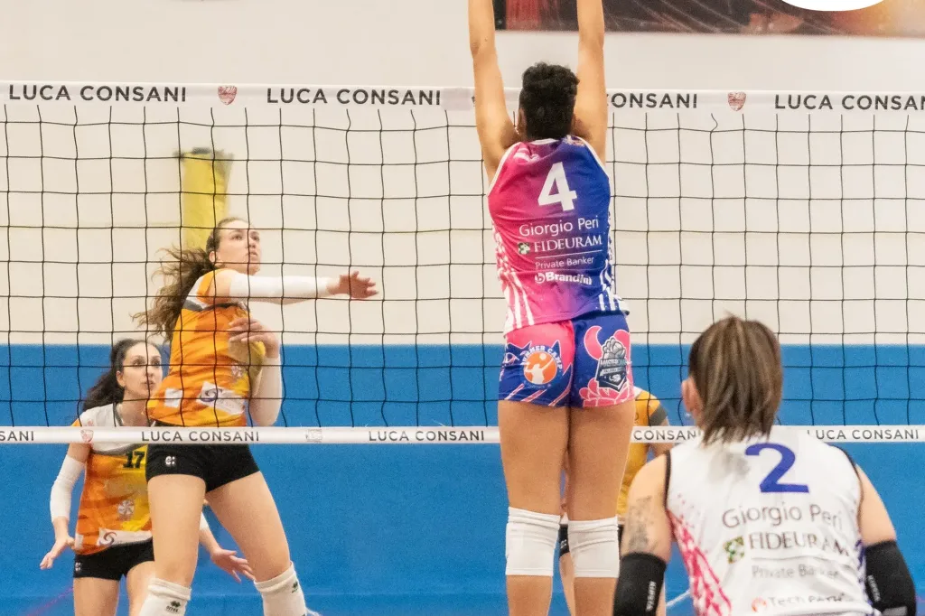 dsc9165.webp