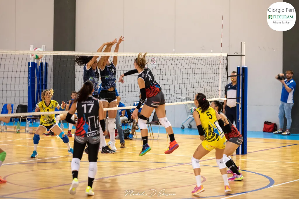 dsc_0359.webp