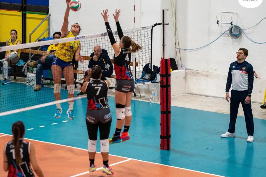 dsc_2108.webp