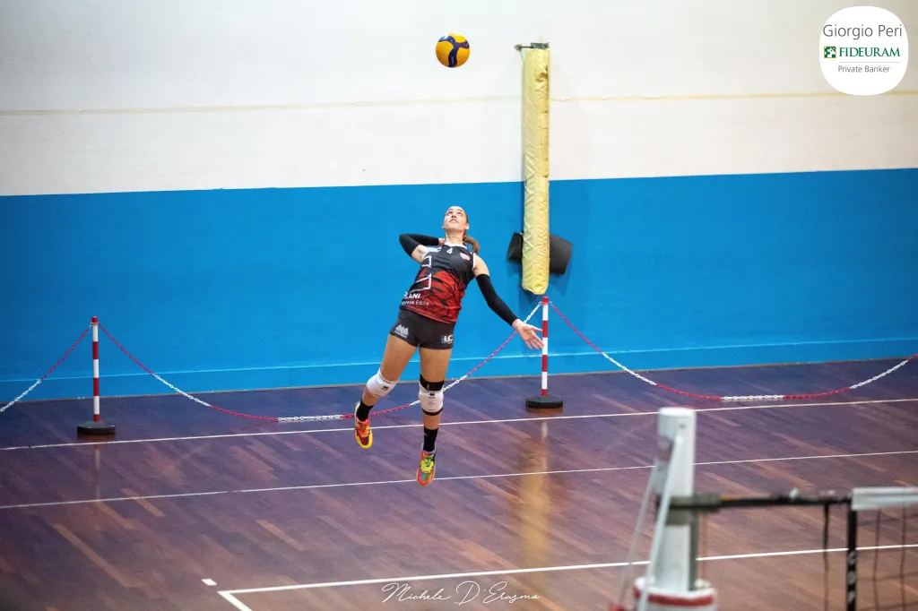 dsc_9849.webp