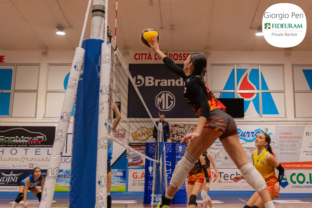 dsc2344.webp