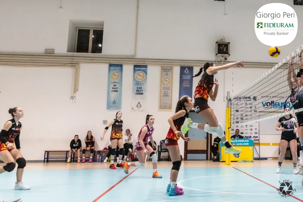 dsc8950.webp