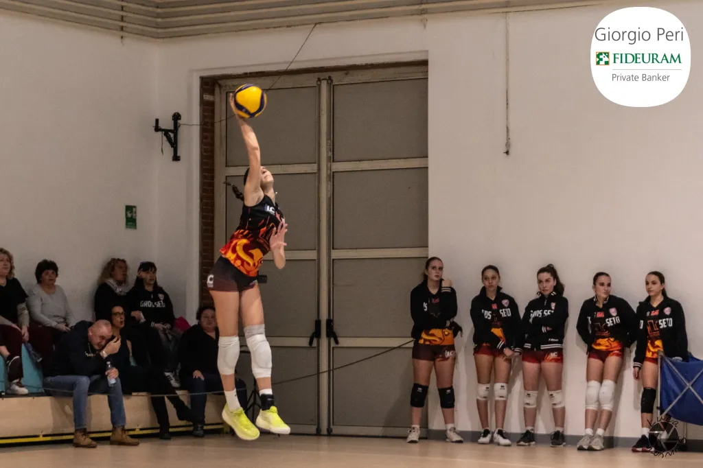 dsc8952.webp