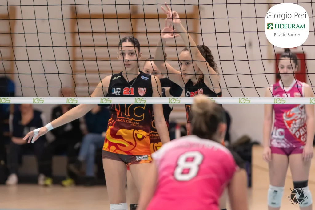 dsc9058.webp