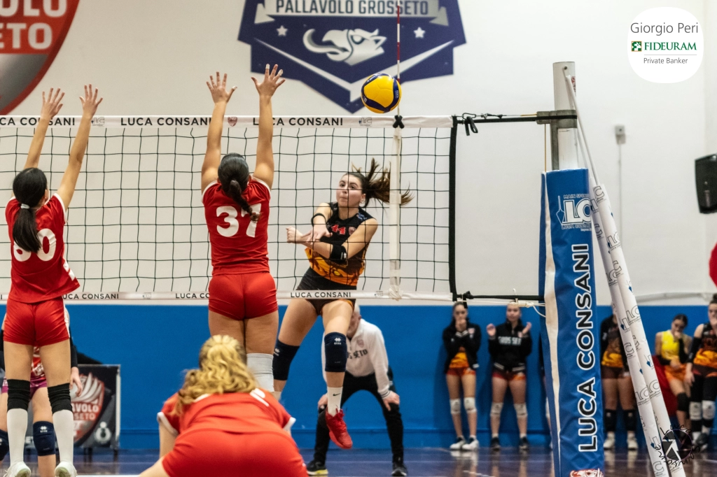 dsc8428.webp