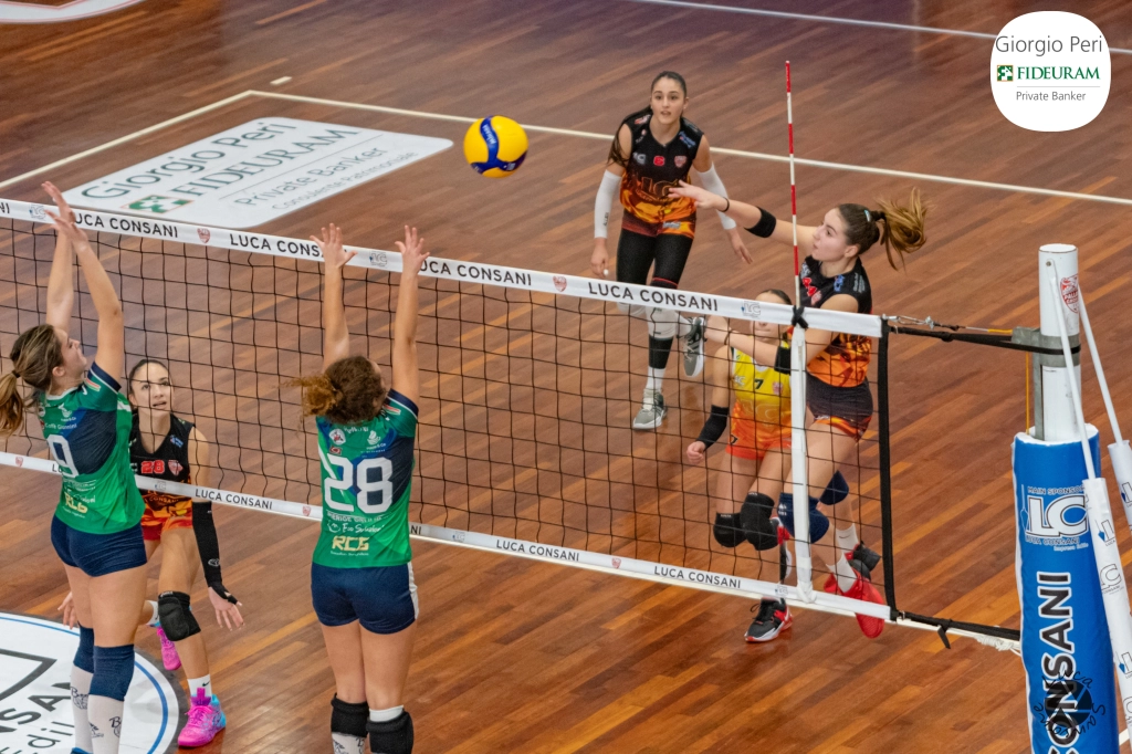 dsc9768.webp