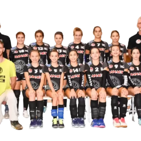 u_13_cdp.webp